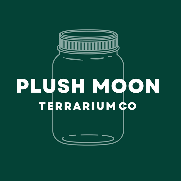Plush Moon Terrarium Co
